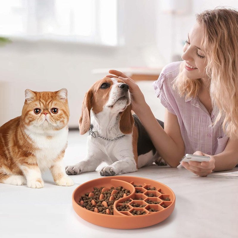 Dog Slow Feeder Bowl