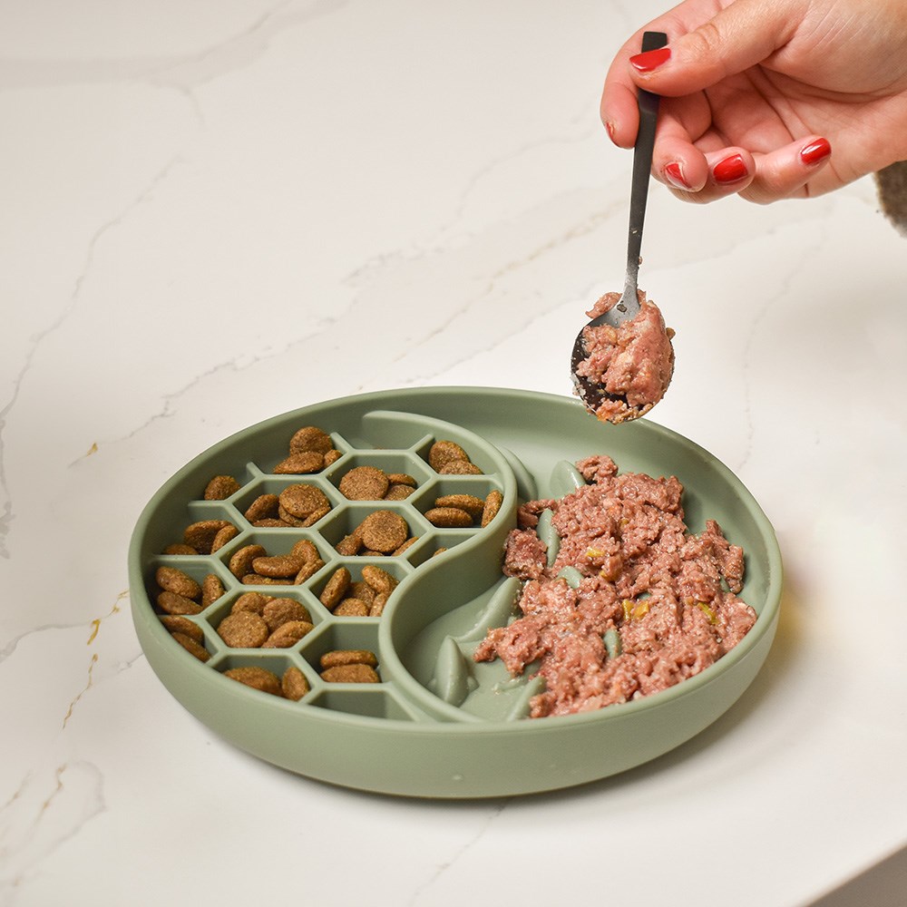 Dog Slow Feeder Bowl
